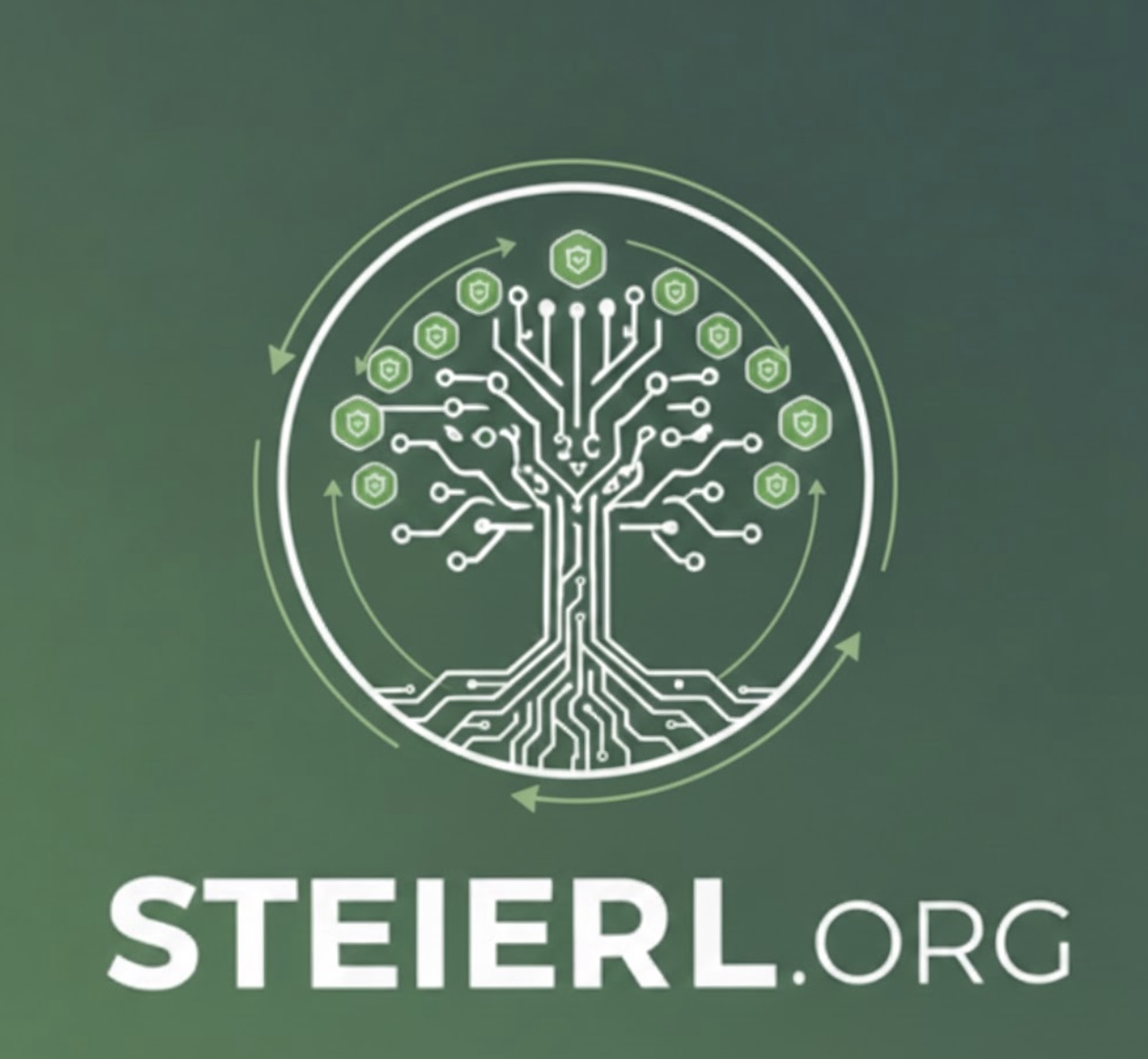 STEIERL.ORG Logo